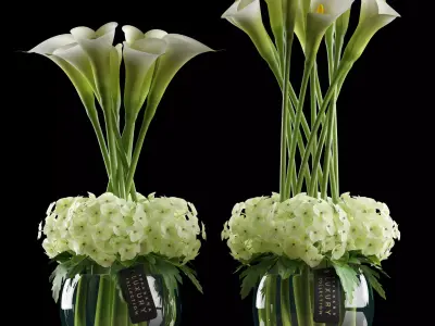 Callalilly and hydrangea  flowers 4 3D model