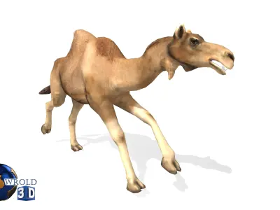 Camel Rigged Animated Lowpoly 3d model Low-poly 3D model