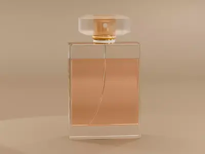 Perfume Bottle 3D Model  Cosmetic Glass Bottle with Cap Free 3D model