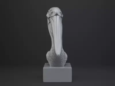 Pelican Bust - Animal Figurine 3D print model