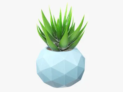 Succulent in planter pot 01 3D model