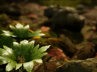 Realistic Leafy Plants and Weeds - High Quality Low-Poly Models Low-poly 3D model