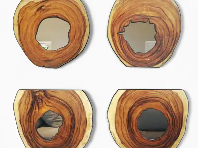 Organic Monkey Pod Mirrors 1 3D model