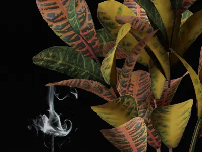 Decorative Set 05 3D model