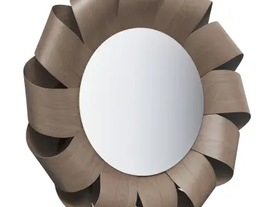Roche Bobois Fiore wall mirror 3D model