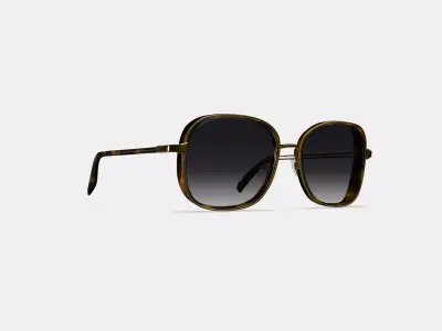 Fernanda Sunglasses in Cognac Tortoise with Polished Gold 3D model