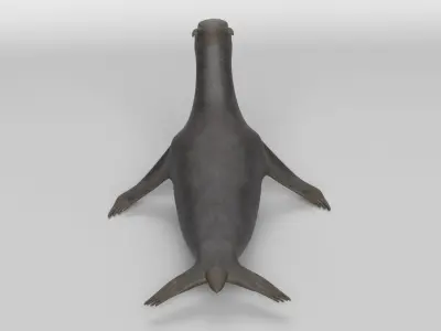 Sea Lion 3D model