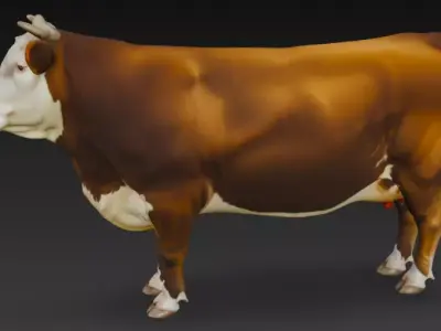 Brown and White Cow Low-poly 3D model