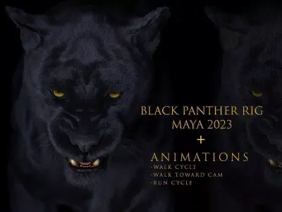 Black Panther ANIMATED Xgen core 3D model