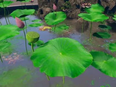 LotusPondVol01 rocks and plants in bowl Free low-poly 3D model