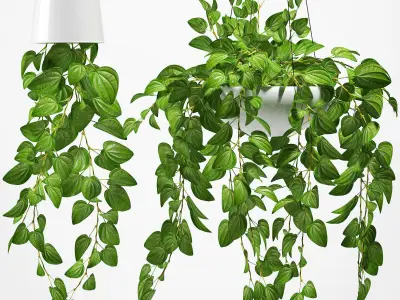Hanging plants 131 3D model