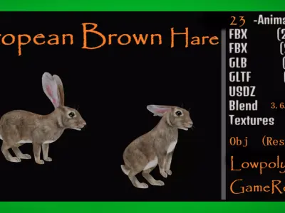 European Brown Hare Low-poly 3D model
