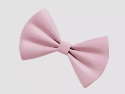 Pink bow 3d model Low-poly 3D model