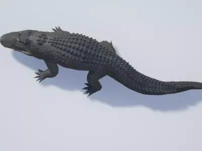 Alligator Low-poly 3D model get