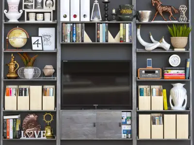 TvSHelf bookcase with shelves and tv 3D model