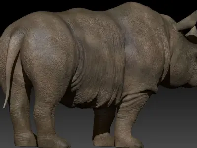 Rhino 3D Photorealistic Model with Uv and  2Texture  Low-poly 3D model