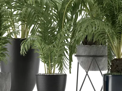 Plants Collection 18 3D model purchase