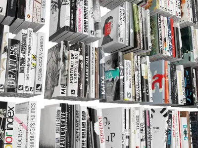 Books 300 pieces 3D model