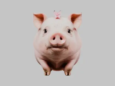 3D Pig Model - Cartoon Animal Character Low-poly 3D model