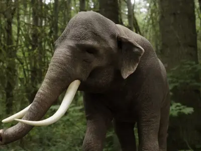 Asian elephant Low-poly 3D model