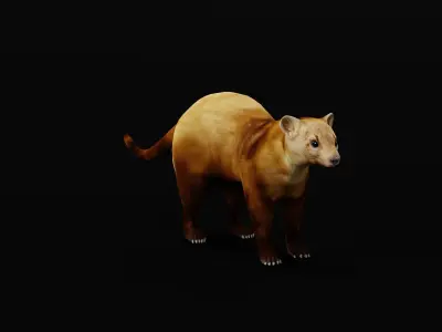 American Pine Marten Low-poly 3D model