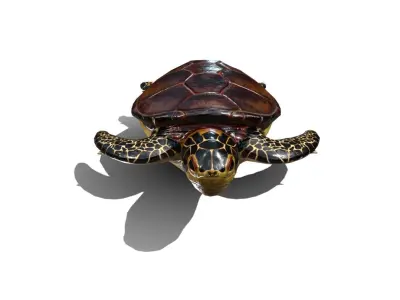 Sea Turtle Low-poly 3D model