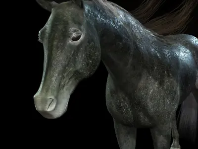 ARABIAN HORSE PUREBLOOD WILD WORLD PONY 2 GREY Low-poly 3D model