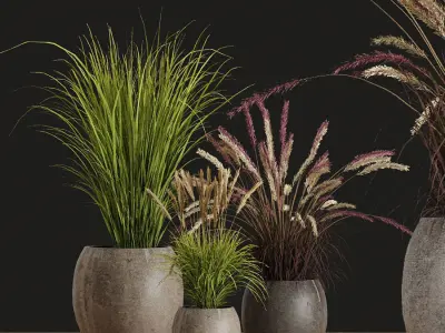 50 Plant Pack  Vol 2 3D model