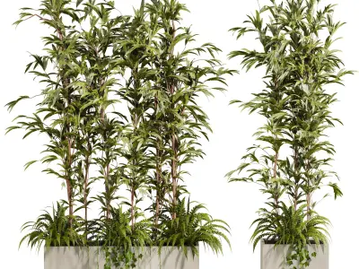 Plants Set 3D model order
