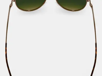 Belmar Sunglasses in Polished Gold 3D model