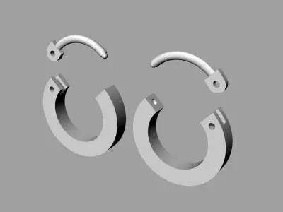 Nail Brand Earrings  3D print model