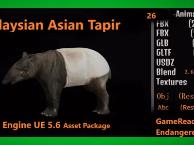Malayan Asian Tapir Low-poly 3D model
