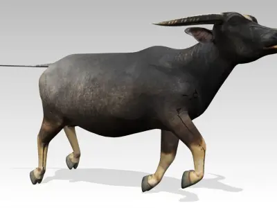 Water Buffalo Animated Low-poly 3D model