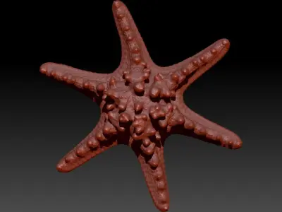 3d Italian Starfish Pendant Necklace charm  3D print model
