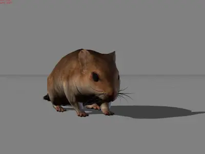 Sand Mouse Animal Low-poly 3D model