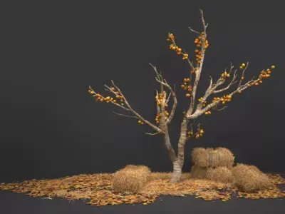 fruit trees 3D model