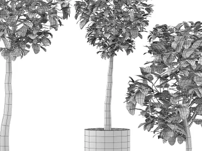 Plants Collection 120 3D model