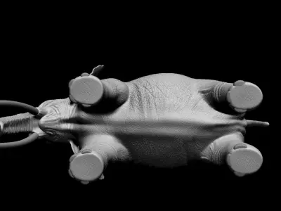 Realistic Elephant 3D model