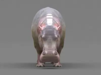 Hippopotamus 3D model get