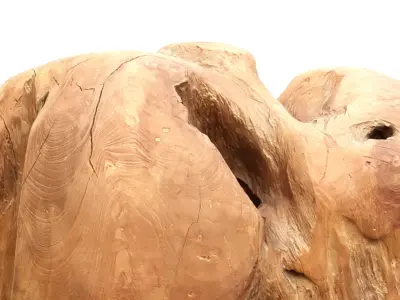 Drift Wood 1 3D model