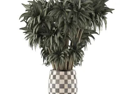 Plants Collection 97 3D model