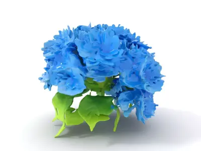 Blue Hydrangea Blossom model pack Low-poly 3D model