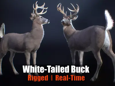 White tailed Buck Rig for Realtime Games and Cinematics Low-poly 3D model