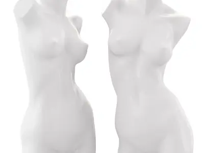 Female Mannequin Torso 3D model