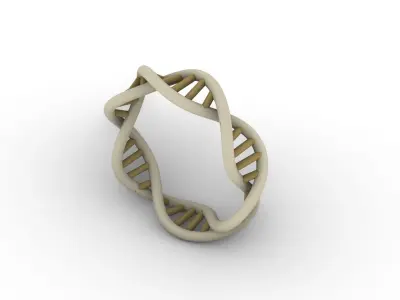 Dna Ring 3D print model