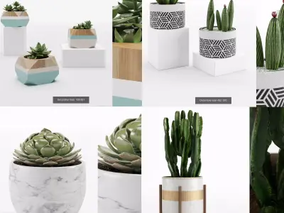 Collection plant 001