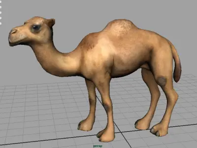 Camel 2 Low-poly 3D model