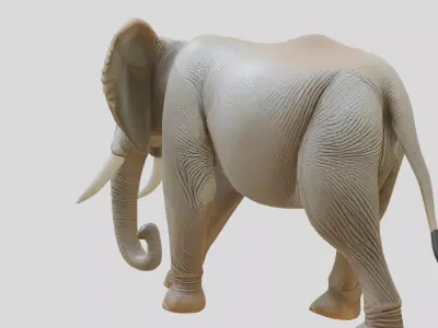African Elephant Realistic 3D Model Low-poly 3D model