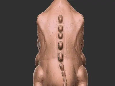 Dinosaur Pen Case Holder for 3D Print 3D print model