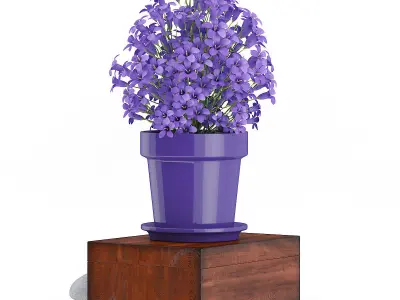 Purple Flowes on Wooden Box 3D model
